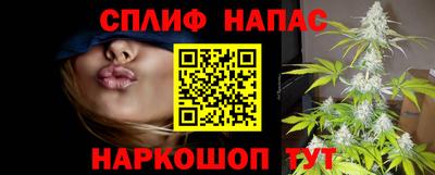 крисы Пыть-Ях
