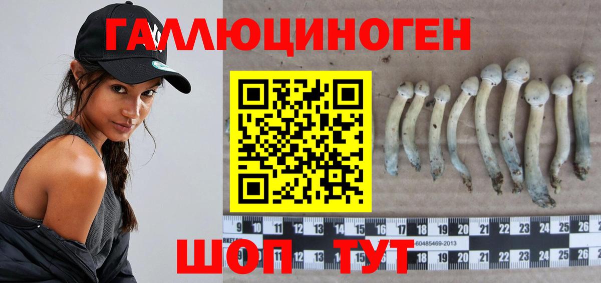 Псилоцибиновые грибы Psilocybine cubensis Орехово-Зуево